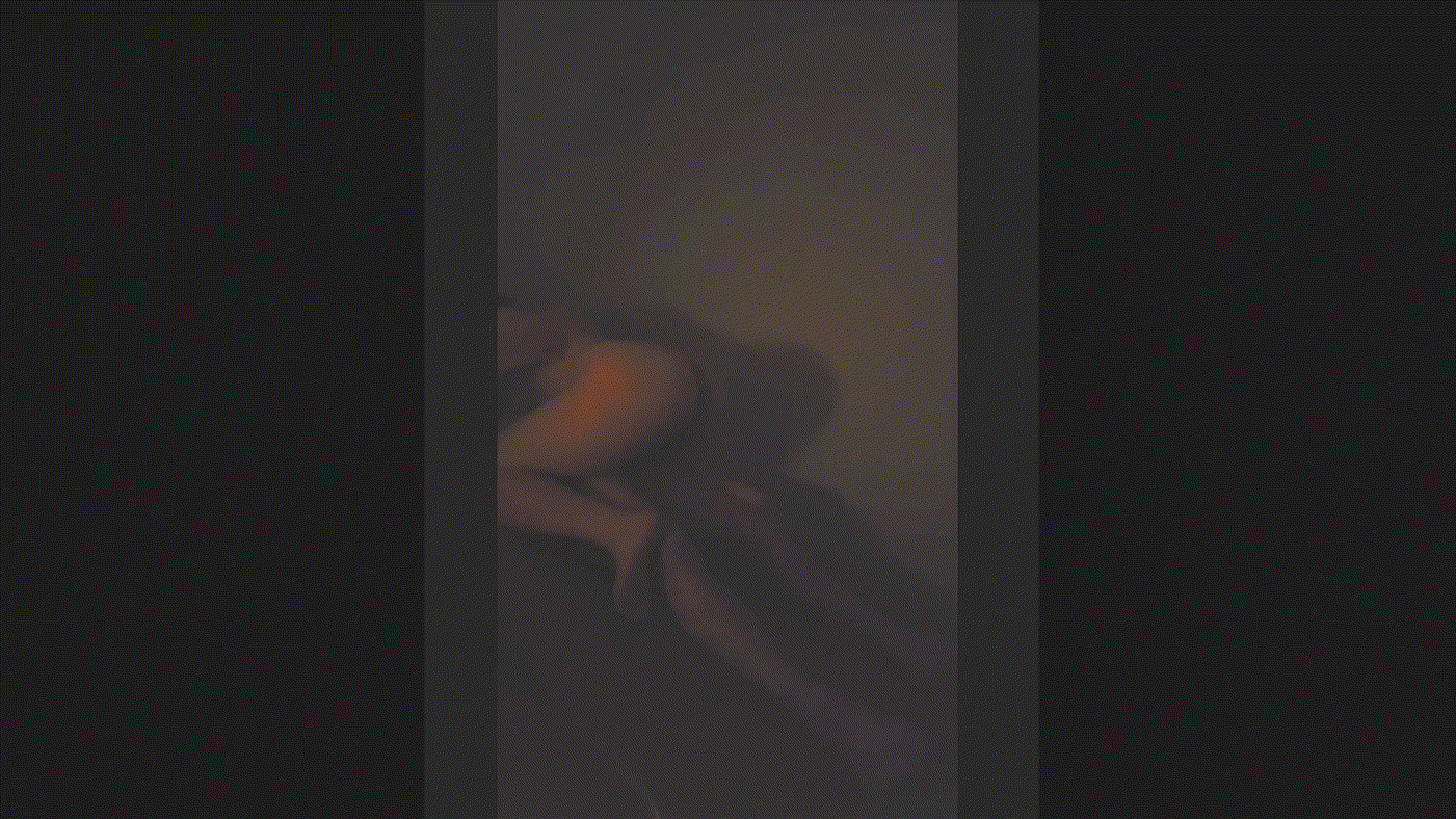 57f0bb21644d417661c057ddff3715c7_1735200956_7615.gif