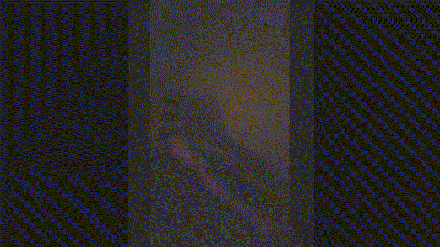 57f0bb21644d417661c057ddff3715c7_1735200960_1876.gif