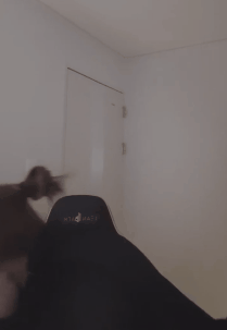 6a507de58989e4ff4b2286a9bff1e11c_1733298635_6043.gif
