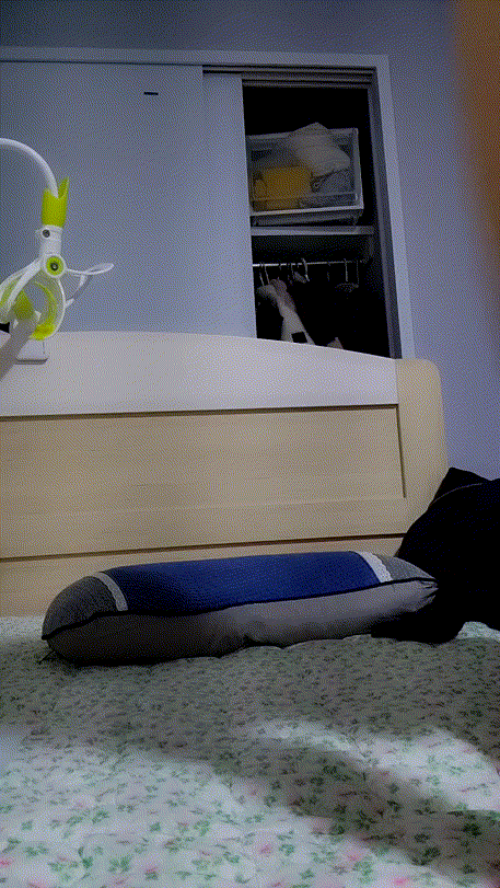 78b8f24e667d6141ffdbb3c7f4b5186b_1733996826_0777.gif