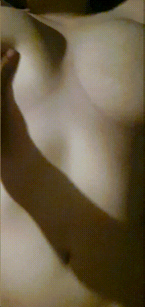 79517074c9bedc8ca9a17bfda8b115d3_1735496406_1192.gif