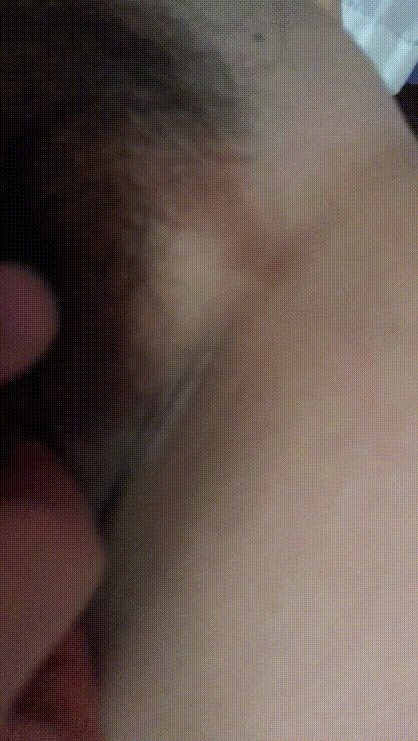 7980dc24edb8a8b45740cb04bb0200d9_1734517895_1273.gif