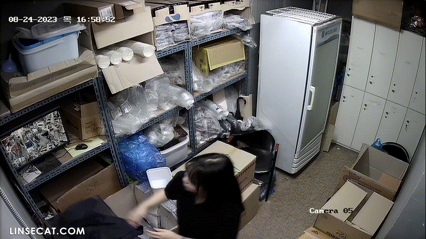 8246170e77f9e306d65a565ca3f1afa3_1734854087_5693.gif