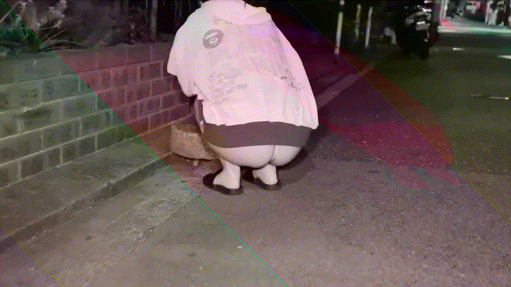 8a5c833a2204b256661346f54536049e_1735631363_1823.gif
