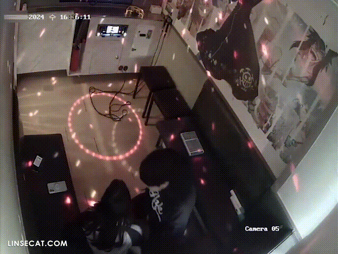 95d5d25c8ca3029fcada0c7ee979626f_1734336551_3901.gif