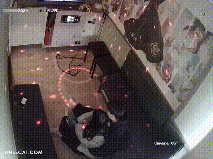 95d5d25c8ca3029fcada0c7ee979626f_1734336553_5833.gif