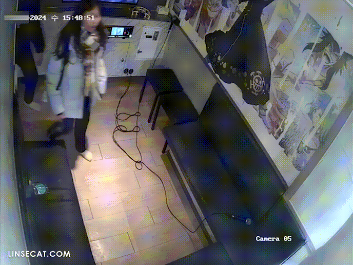 95d5d25c8ca3029fcada0c7ee979626f_1734336555_8875.gif
