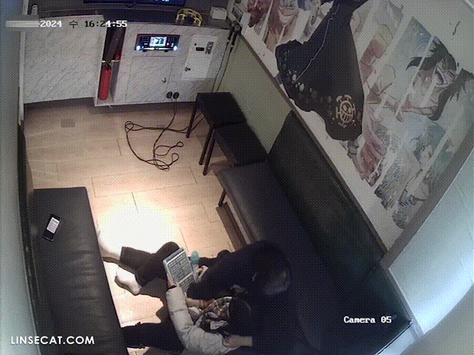 95d5d25c8ca3029fcada0c7ee979626f_1734336556_5417.gif