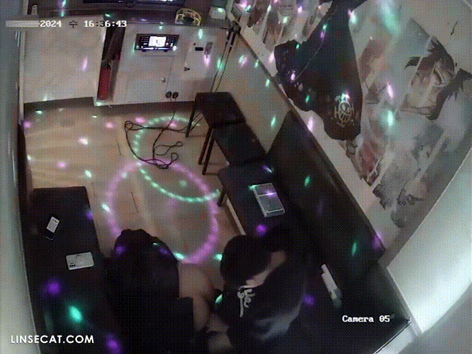 95d5d25c8ca3029fcada0c7ee979626f_1734336560_4339.gif