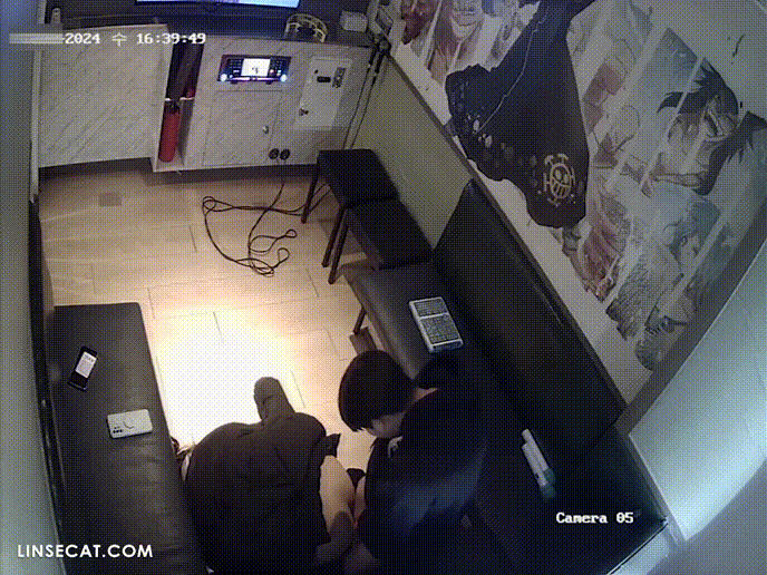 95d5d25c8ca3029fcada0c7ee979626f_1734336562_7411.gif