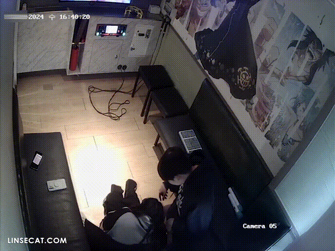 95d5d25c8ca3029fcada0c7ee979626f_1734336563_4056.gif