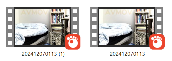 97101d5e91c63ec673b79776a1cddd2b_1733502387_4027.png