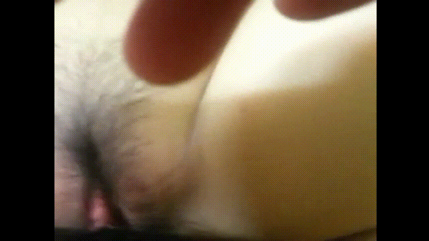 9dee25ccd6c2c6935e8edec4186ba706_1734424762_1803.gif