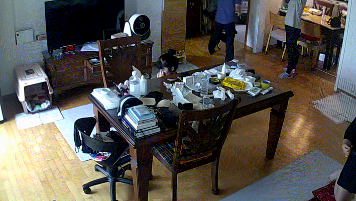9dee25ccd6c2c6935e8edec4186ba706_1734424900_7615.gif