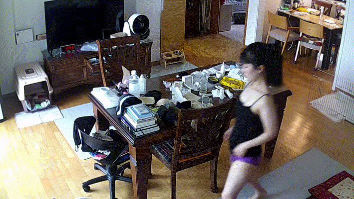 9dee25ccd6c2c6935e8edec4186ba706_1734424920_7015.gif