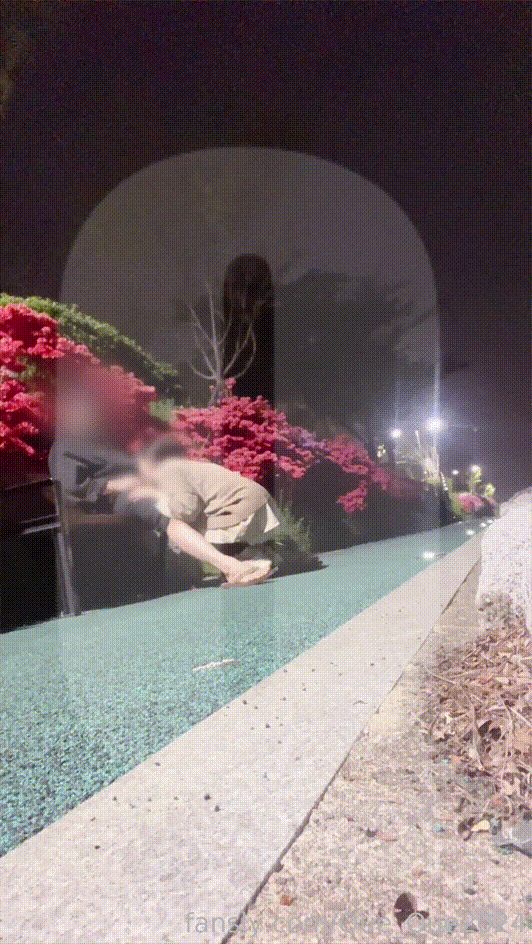 9dee25ccd6c2c6935e8edec4186ba706_1734426247_2869.gif