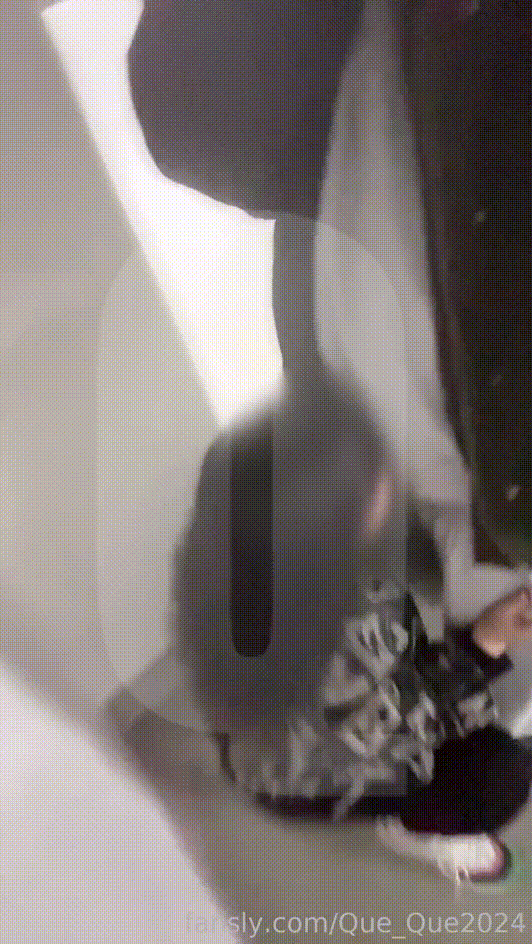 9dee25ccd6c2c6935e8edec4186ba706_1734426700_1368.gif