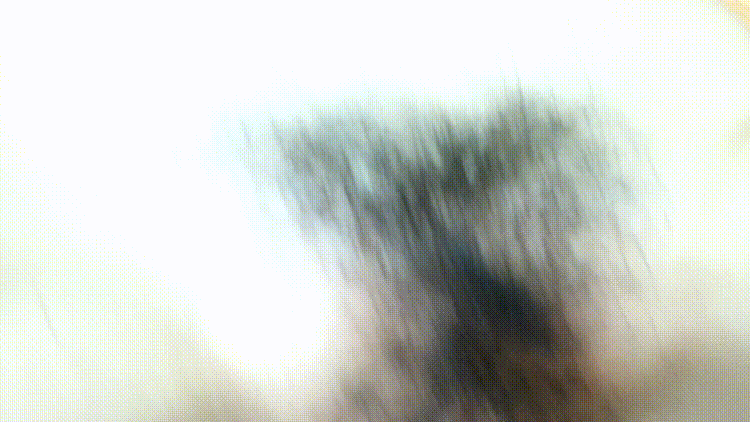 b05dffb218202f9da4597987fdc95b70_1734421071_3233.gif