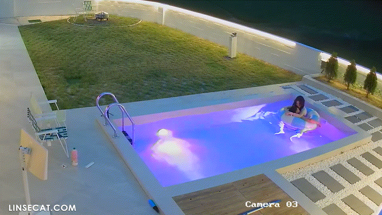c4d10f5b4d5693112dae3f777066cbd7_1733566405_5615.gif