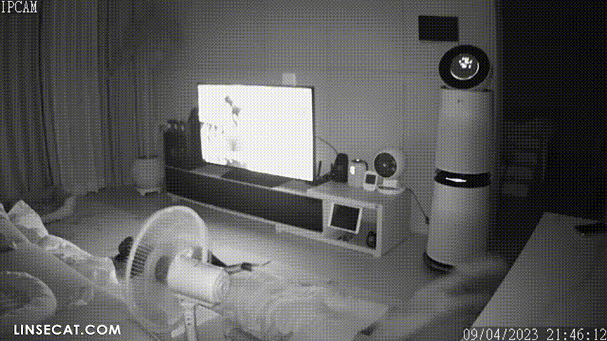 df4a93c26a5e73e42b30b8f45ec5c6b0_1735114927_0602.gif