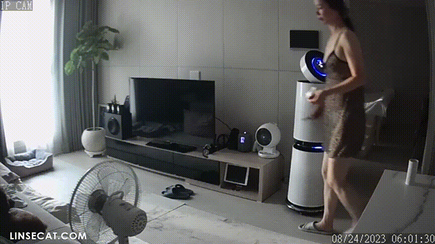df4a93c26a5e73e42b30b8f45ec5c6b0_1735114930_2216.gif