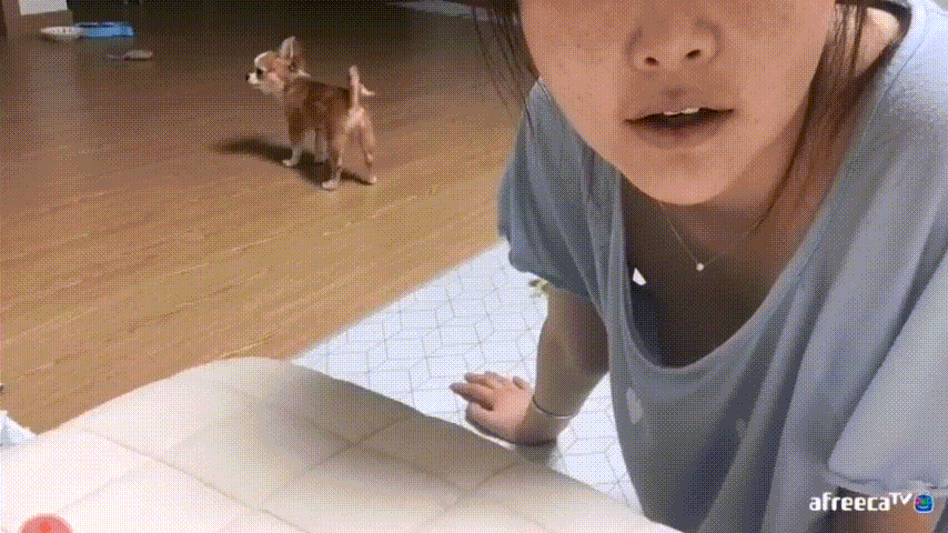 ff026b805cb87ba2b12394d115c94663_1735637630_1523.gif
