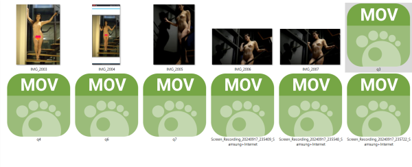 3b4ab7b6daefe179362dc53ac71e9e04_1733232734_0736.png