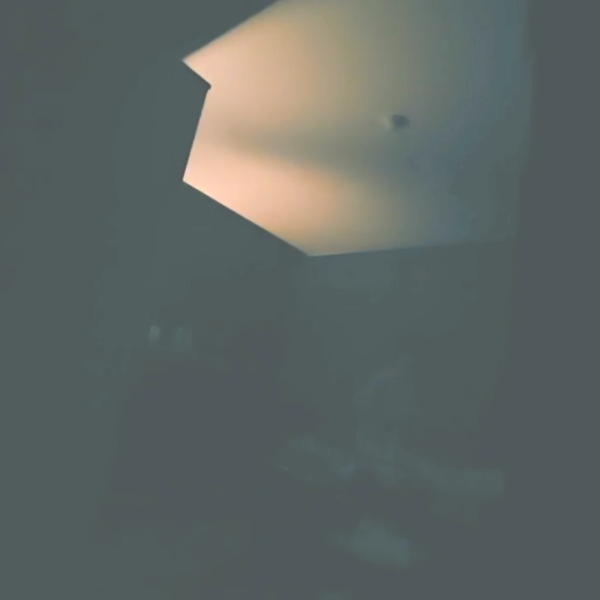 95d5d25c8ca3029fcada0c7ee979626f_1734336309_2981.png