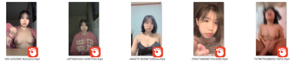 e0f13b2ccfdb15dd76f730542fb85a3f_1734690632_4472.png