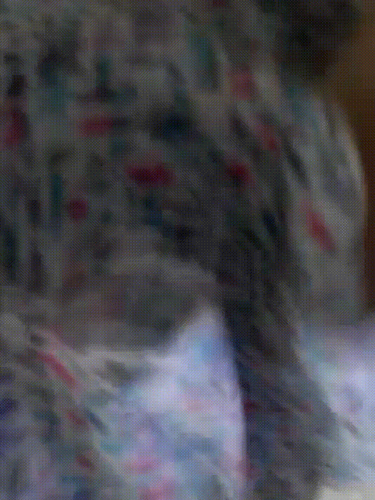317dbd34f033c98f1f3ea75bf519f787_1737191198_3614.gif