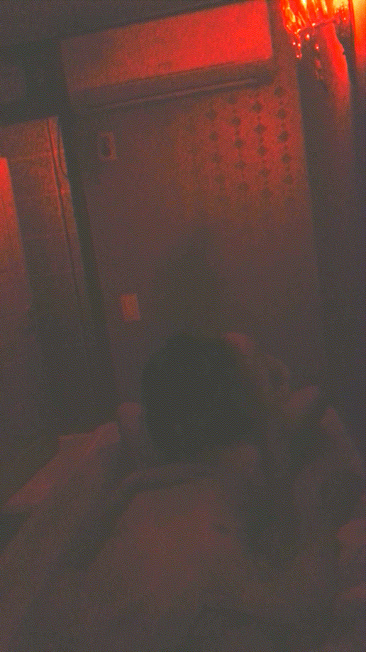 401ffb0b46d5716756564550d180f8bf_1737886246_1705.gif