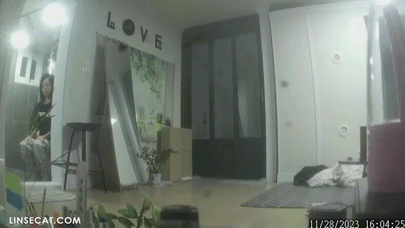 439eda8e8cb8539d0449ddbd7216b15b_1736151092_5892.gif