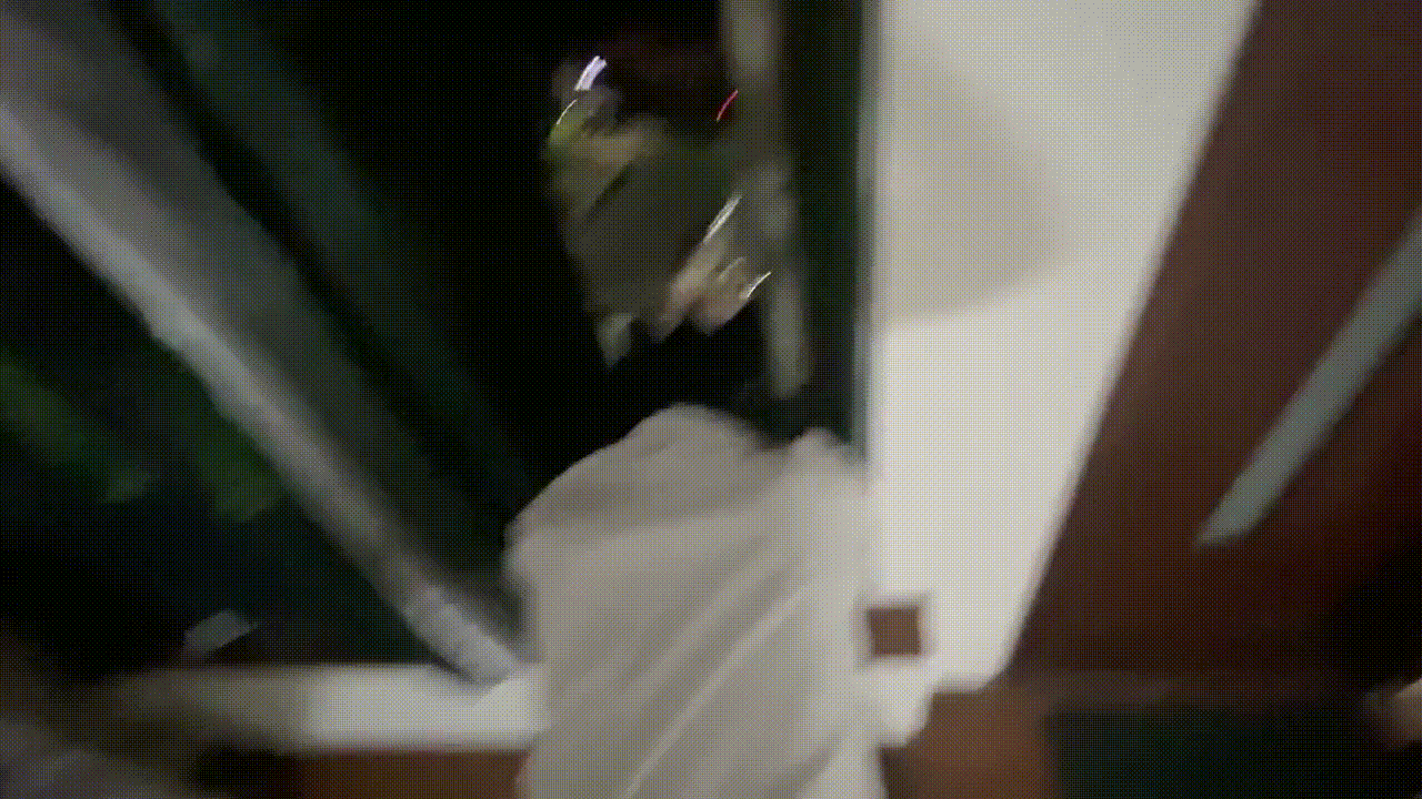 5441fc627407c629b980f9df661fa914_1736507982_2525.gif