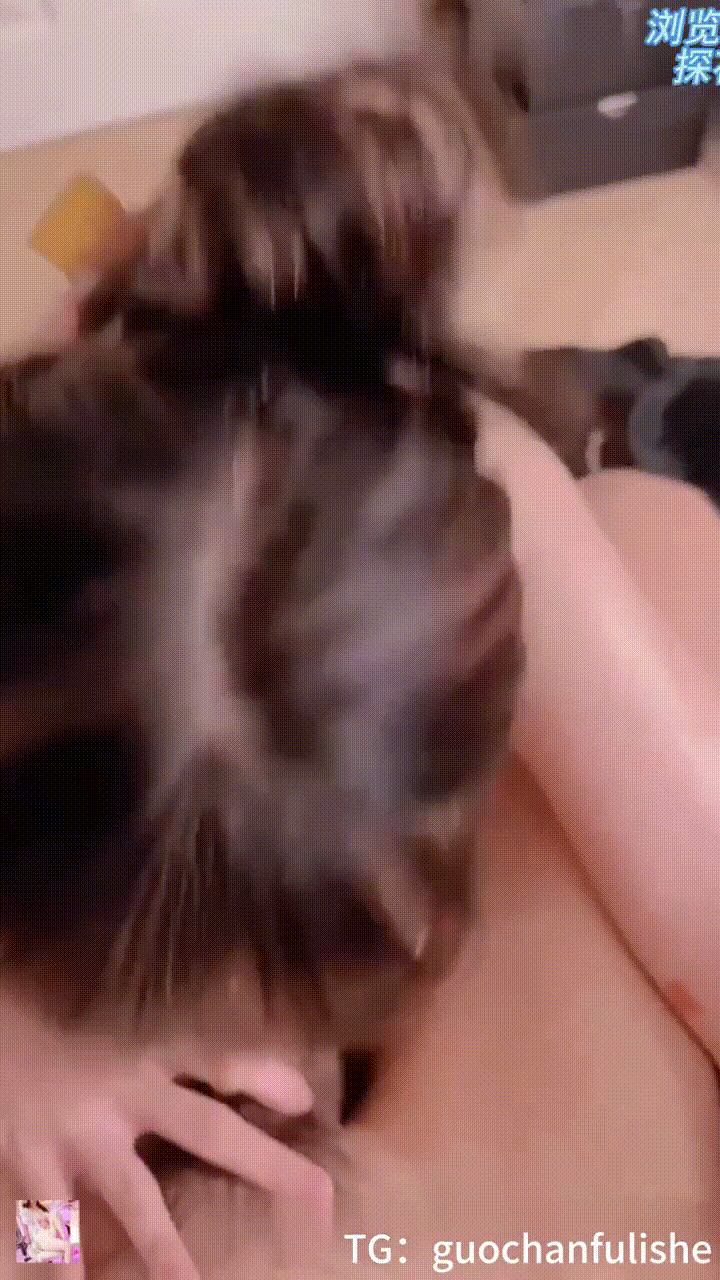 5441fc627407c629b980f9df661fa914_1736508568_3639.gif