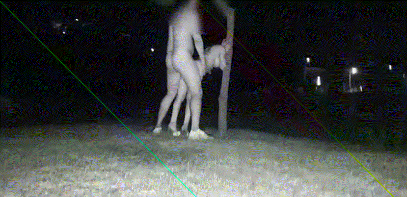 5664e9f8487790a7d0b9a1afcb9370df_1735995789_321.gif