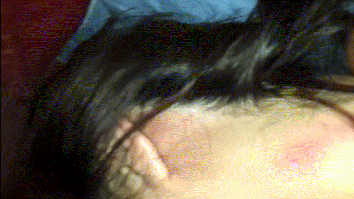 614654c0d0d904faf9865cb2e602572e_1737448631_3227.gif