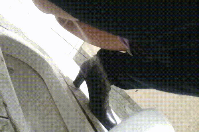 696eb30955c9ae61c44a7299eac8ea54_1736240138_5392.gif