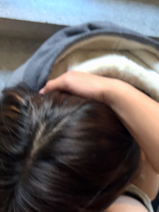 6d75b75ade755c8a5292c25ab28858f4_1736920569_254.gif