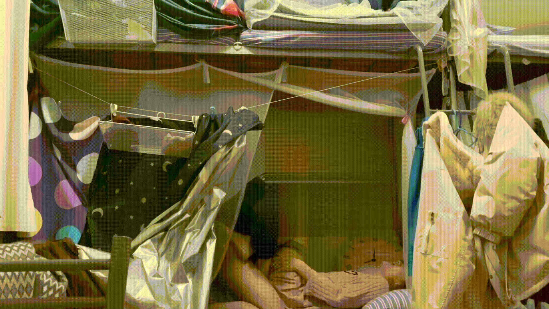 7689ea0ab1f3cdfb5b20906d40c72080_1737114795_261.gif