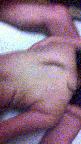 76e984b9e29745f1ec3ff092c726cc98_1735762672_5646.gif