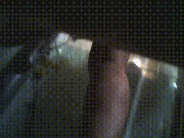7f6544933c27a2e5a3a57873c6113c6f_1737358678_707.gif