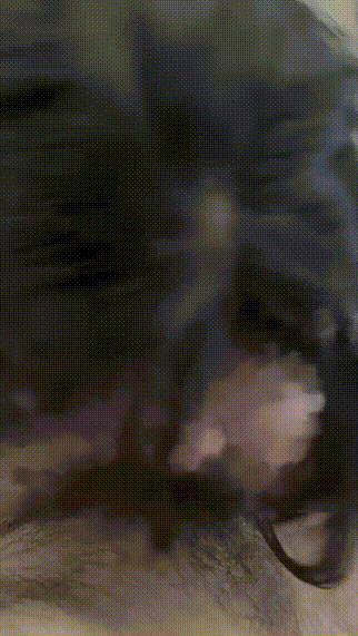 82b19112c4d3d6903363525a3e831570_1736602853_932.gif