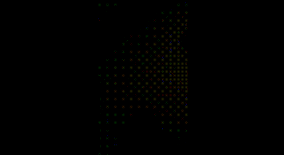 82b19112c4d3d6903363525a3e831570_1736602978_2384.gif