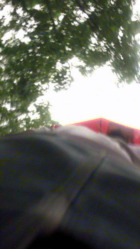 880268760077baf7a7a5782173acea71_1736185370_1326.gif