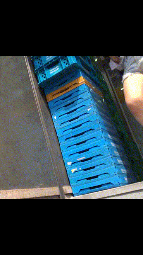 880268760077baf7a7a5782173acea71_1736185400_7551.gif