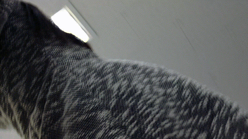 8f7aa3589a8c80ee0feb1eb67273f5ac_1737368706_5214.gif