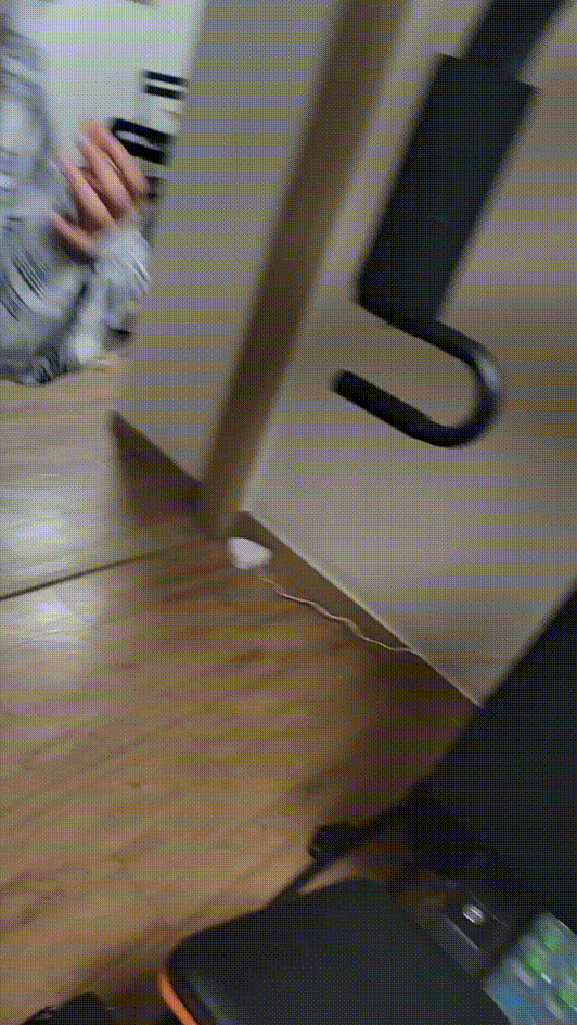 9121ddf7056aefff677752c37ecab03d_1737617022_8992.gif