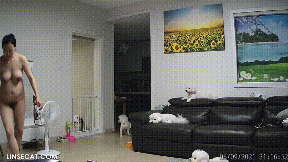 9671ec469e9937c0e7d73e6db5acf2ca_1737452369_2784.gif