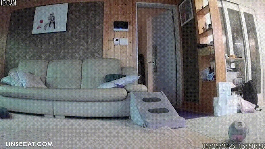 9671ec469e9937c0e7d73e6db5acf2ca_1737452374_5532.gif