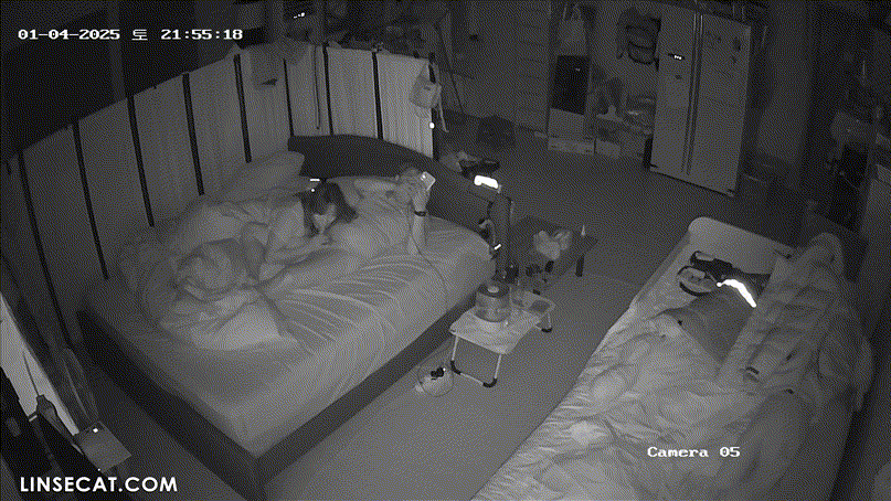 b0a60337d58fa716ba73ca3433701c12_1737895154_032.gif